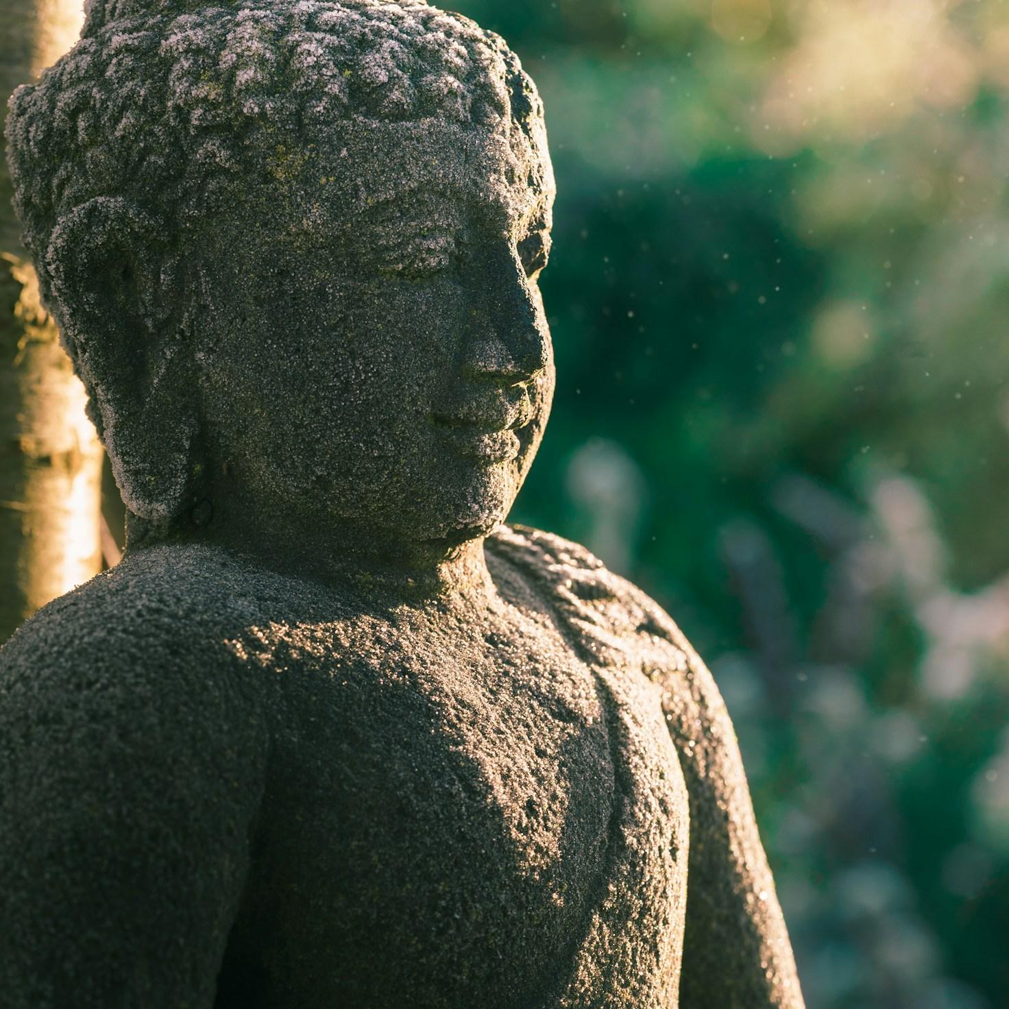 Meditation practice space with cushions arranged in circle
